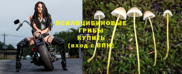 скорость mdpv Краснослободск