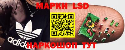 прущие крисы Новокубанск