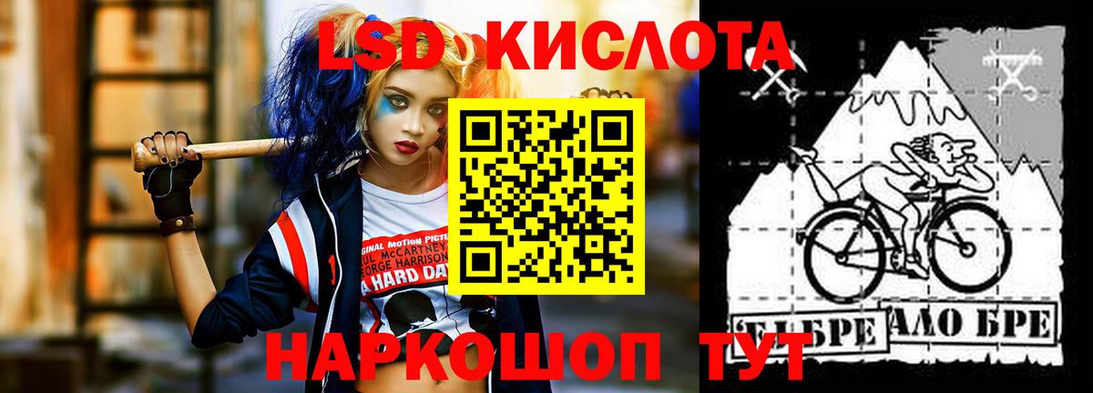 Славгород  Лсд 25 экстази кислота  гидра ссылка  ЛСД экстази кислота  Вход с VPN 