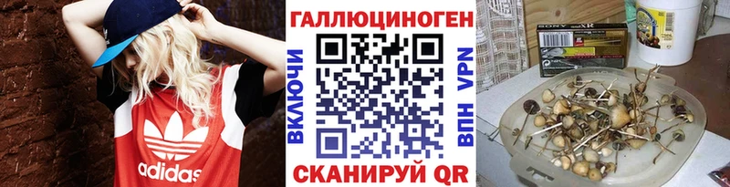 Псилоцибиновые грибы Cubensis  Славгород 