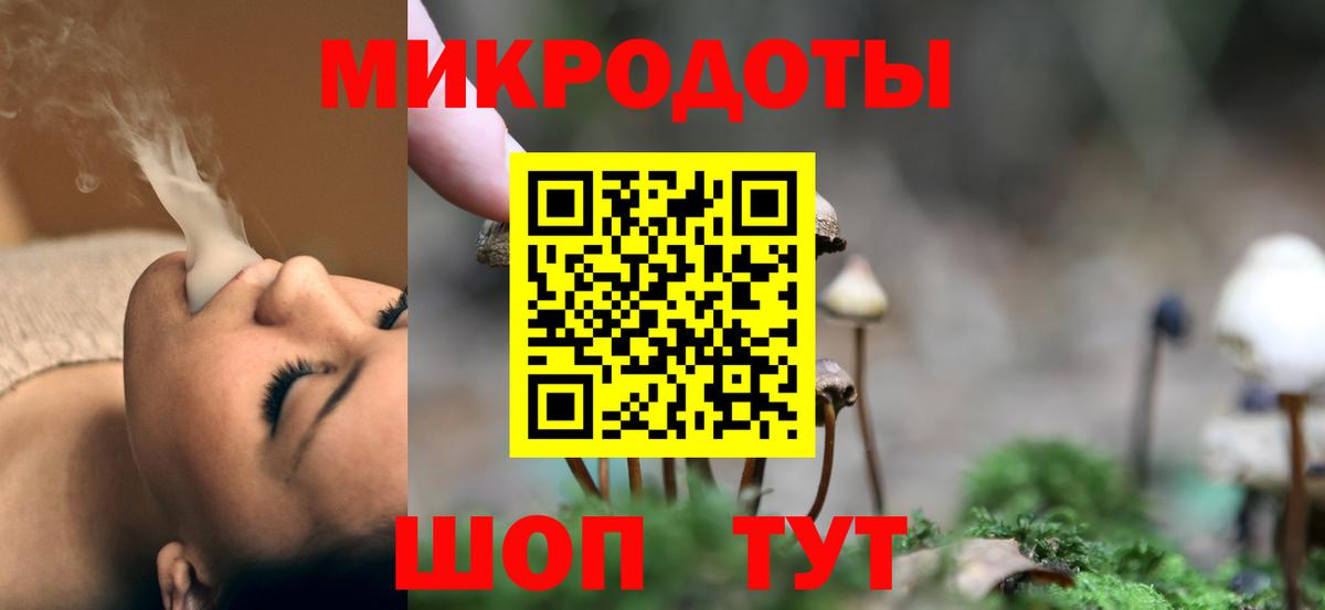 Галлюциногенные грибы прущие грибы Славгород