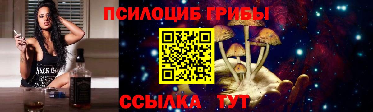 Славгород  Галлюциногенные грибы Psilocybine cubensis  Псилоцибиновые грибы ЛСД  Вход с VPN 