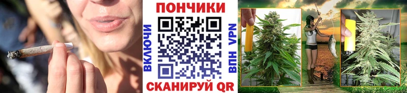 гидра онион Славгород Канабис план